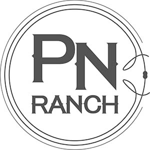 pn_logo