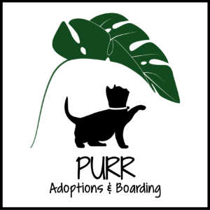 Purr-Logo_White-BG-with-Black-Boarder-Edge-01.webp