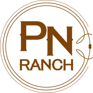 mock_logo